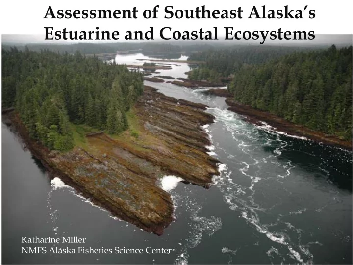 estuarine and coastal ecosystems