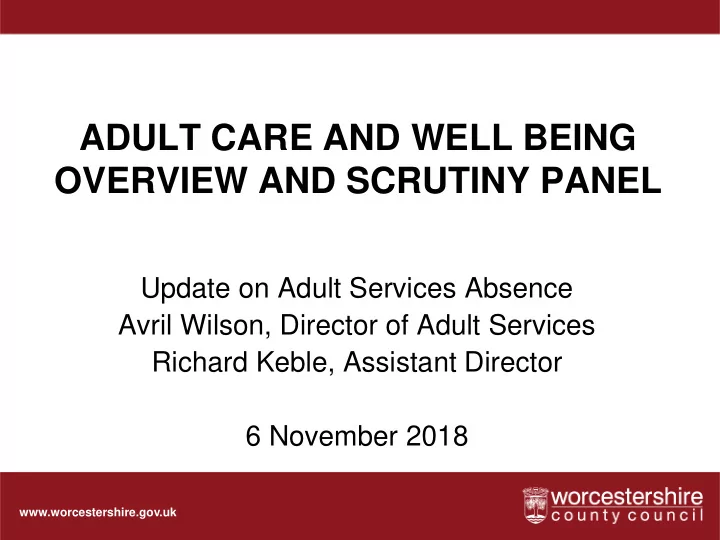 overview and scrutiny panel