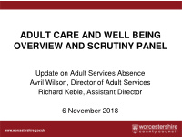 overview and scrutiny panel