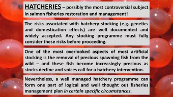 Many people talk about being for or against hatcheries.  But a hatchery is