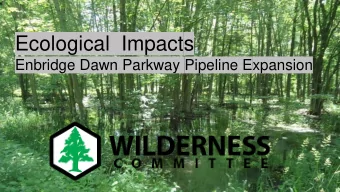 Ecological  Impacts  Enbridge Dawn Parkway Pipeline Expansion  Beverley Swamp and Spencer Creek