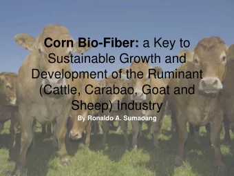 Corn Bio-Fiber: a Key to  Sustainable Growth and  Development of the Ruminant  (Cattle, Carabao,