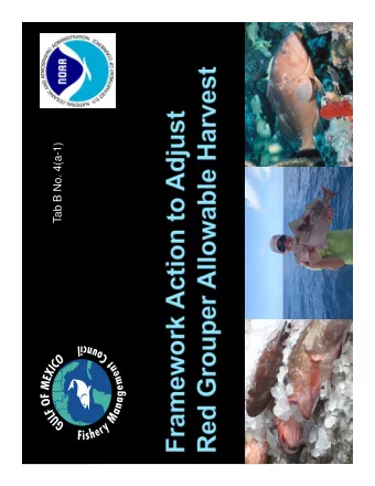 Tab B No. 4(a-1)  Red grouper stock is neither  overfished or experiencing  overfishing based on
