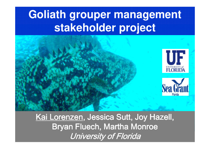 goliath grouper management stakeholder project