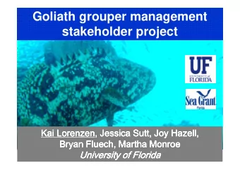 Goliath grouper management  stakeholder project  Kai Lorenzen  Kai Lorenzen, Jessica Sutt, Joy  ,