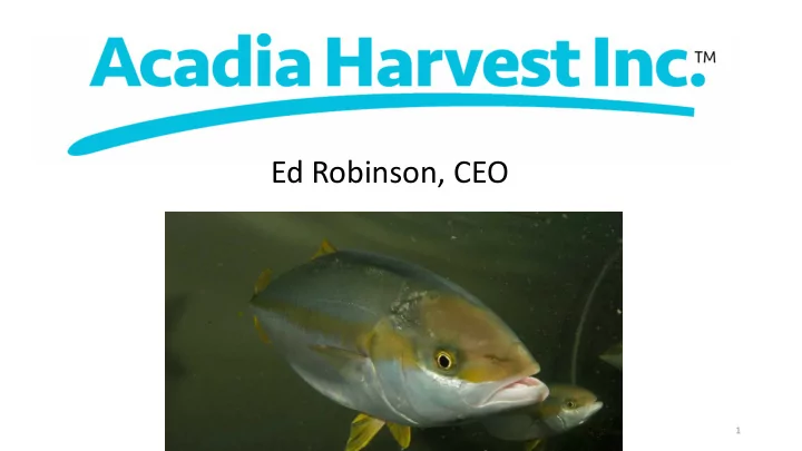 ed robinson ceo