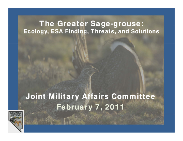 the greater sage the greater sage grouse the greater sage