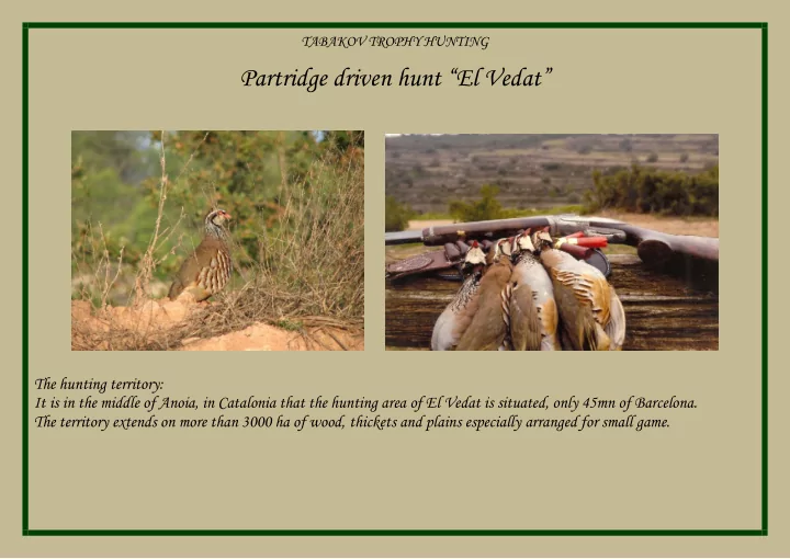 partridge driven hunt el vedat