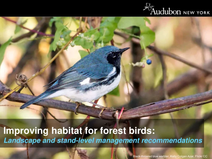 improving habitat for forest birds