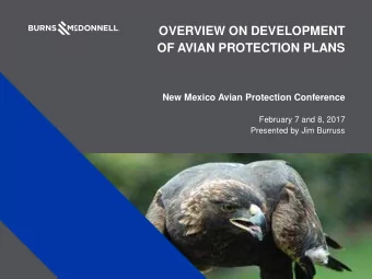 OVERVIEW ON DEVELOPMENT  OF AVIAN PROTECTION PLANS  New Mexico Avian Protection Conference