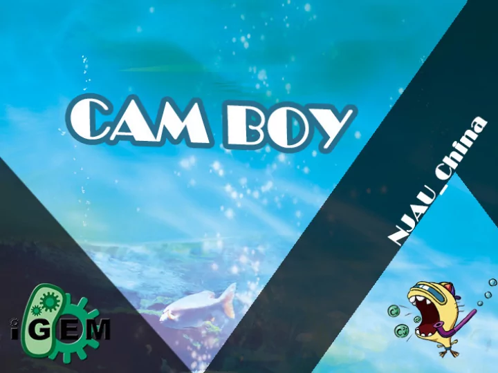 cam boy
