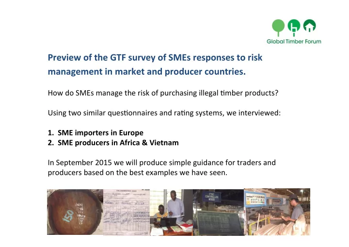 preview of the gtf survey of smes responses to risk