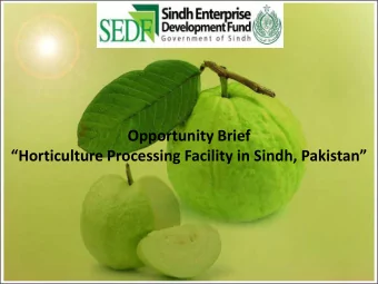 Opportunity Brief Horticulture Processing Facility in Sindh , Pakistan  SEDF Vision  To