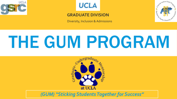 the gum program