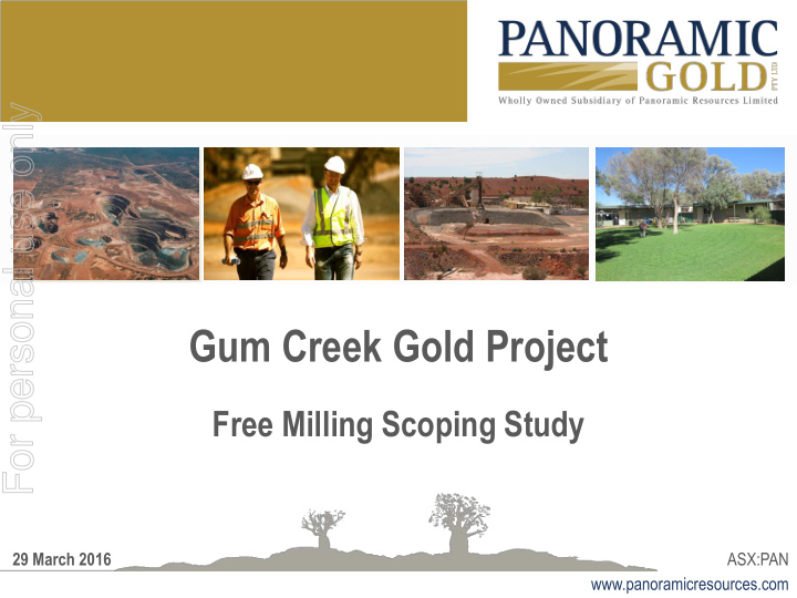 gum creek gold project