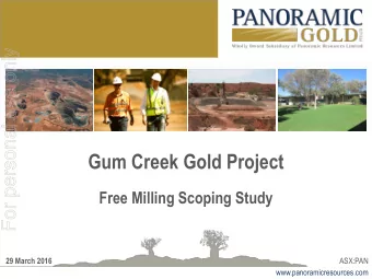 Gum Creek Gold Project  Free Milling Scoping Study  29 March 2016  ASX:PAN