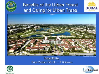 Benefits of the Urban Forest  and Caring for Urban Trees  Image Source:  DiGiacomo Group  Presented