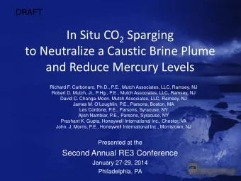 In Situ CO 2 Sparging  to Neutralize a Caustic Brine Plume  and Reduce Mercury Levels  Richard F.