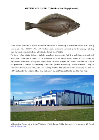 GREENLAND HALIBUT (Reinhardtius Hippoglossoides). New Alaska Volkhov is a trade - production