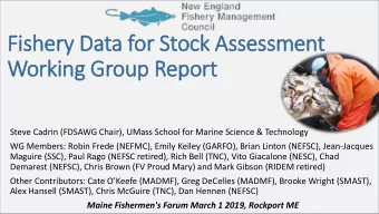 Fishery Data for Stock Assessment  Working Group Report  Steve Cadrin (FDSAWG Chair), UMass School