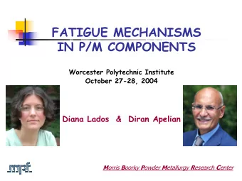 FATIGUE MECHANISMS  IN P/M COMPONENTS  Worcester Polytechnic Institute  October 27-28, 2004  Diana