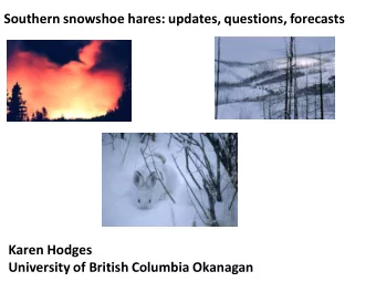 Southern snowshoe hares: updates, questions, forecasts  Karen Hodges  University of British