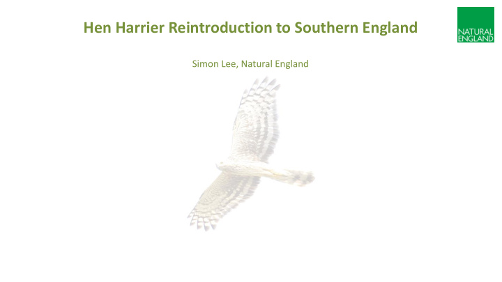 hen harrier reintroduction to southern england