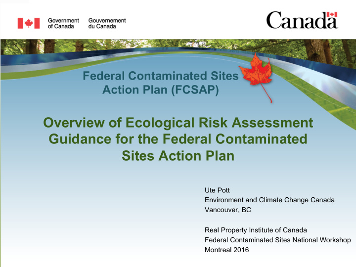 overview of ecological risk assessment guidance for the