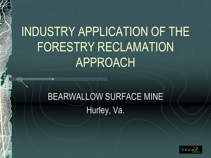 forestry reclamation