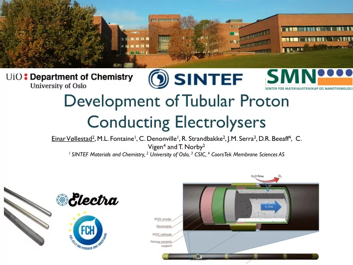 development oftubular proton conducting electrolysers