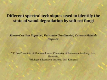 Different spectral techniques used to identify the  state of wood degradation by soft rot fungi