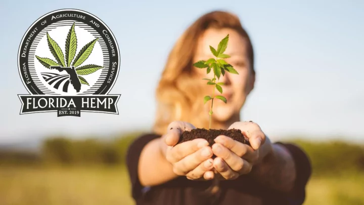 hemp is an industry that is evolving at a fast pace with