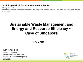 Case of Singapore  17 Aug 2015  Koh Kim Hock  Director-General  Environmental Protection  National
