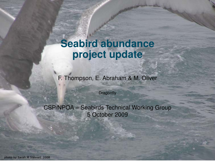 seabird abundance project update