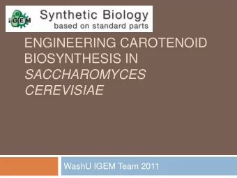 BIOSYNTHESIS IN  SACCHAROMYCES CEREVISIAE  WashU IGEM Team 2011  Our Vision  Vitamin A