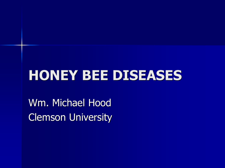 honey bee diseases