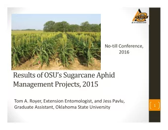 Results of OSUs Sugarcane Aphid  Management Projects, 2015 Tom A. Royer, Extension Entomologist,