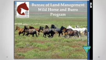 Program  Rawlins Field Office  1  The BLM mission...  To manage the public lands to sustain the