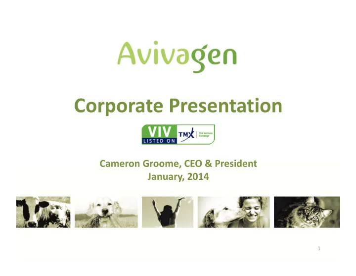corporate presentation