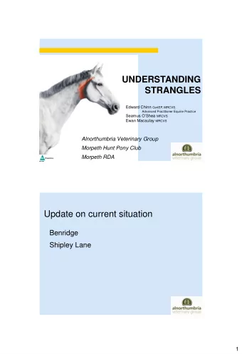 UNDERSTANDING  STRANGLES Edward Chinn CertEP, MRCVS.  Advanced Practitioner Equine Practice Seamus