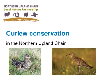 Curlew conservation  in the Northern Upland Chain  UK &amp; Ireland Curlew  Action Group  The UK