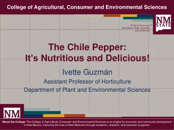 The Chile Pepper: Its Nutritious and Delicious!  Ivette Guzmn  Assistant Professor of
