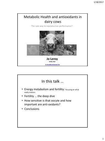 In this talk   Energy metabolism and fertility: focusing on what  really matters