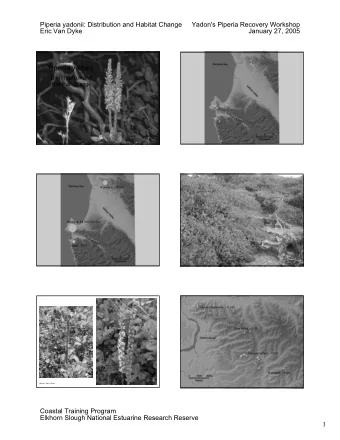 Piperia yadonii  Dist ribut ion and  Habit at  Change  phot o: Mark Silberst ein  Prunedale: