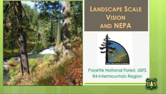 L ANDSCAPE S CALE V ISION AND NEPA  Payette National Forest, USFS  R4 Intermountain Region  GUIDING