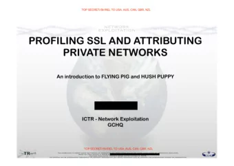 PROFILING SSL AND ATTRIBUTING  PRIVATE NETWORKS An introduction to FLYING PIG and HUSH PUPPY  ICTR