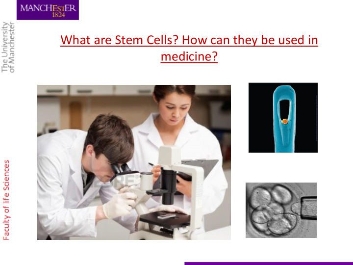 what are stem cells how can they be used in