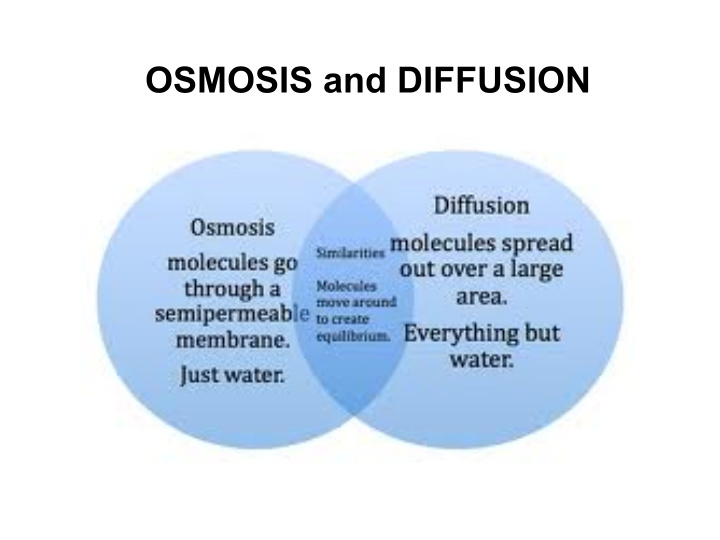 osmosis and diffusion concentration gradient