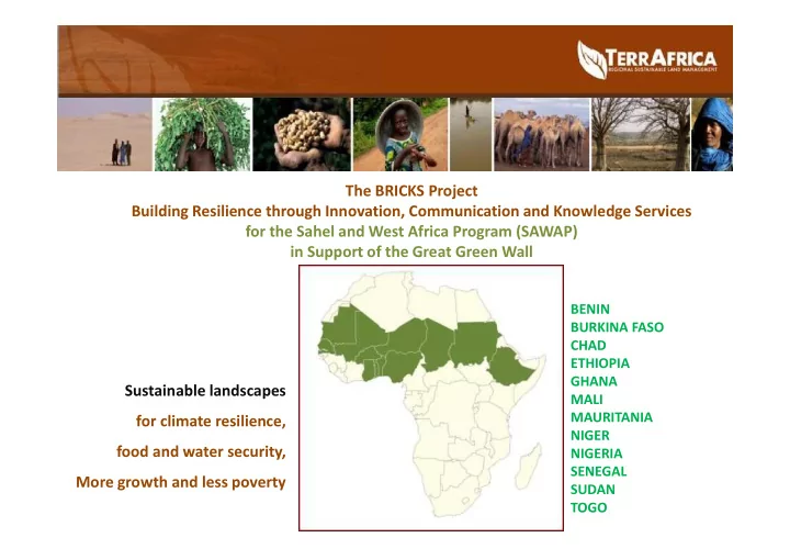 the bricks project building resilience through innovation