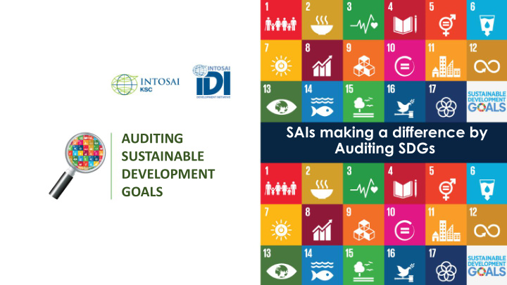 auditing sdgs